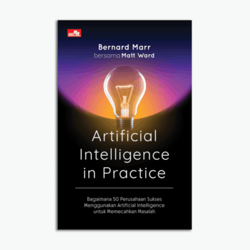 Artificial Intelligence In Practice