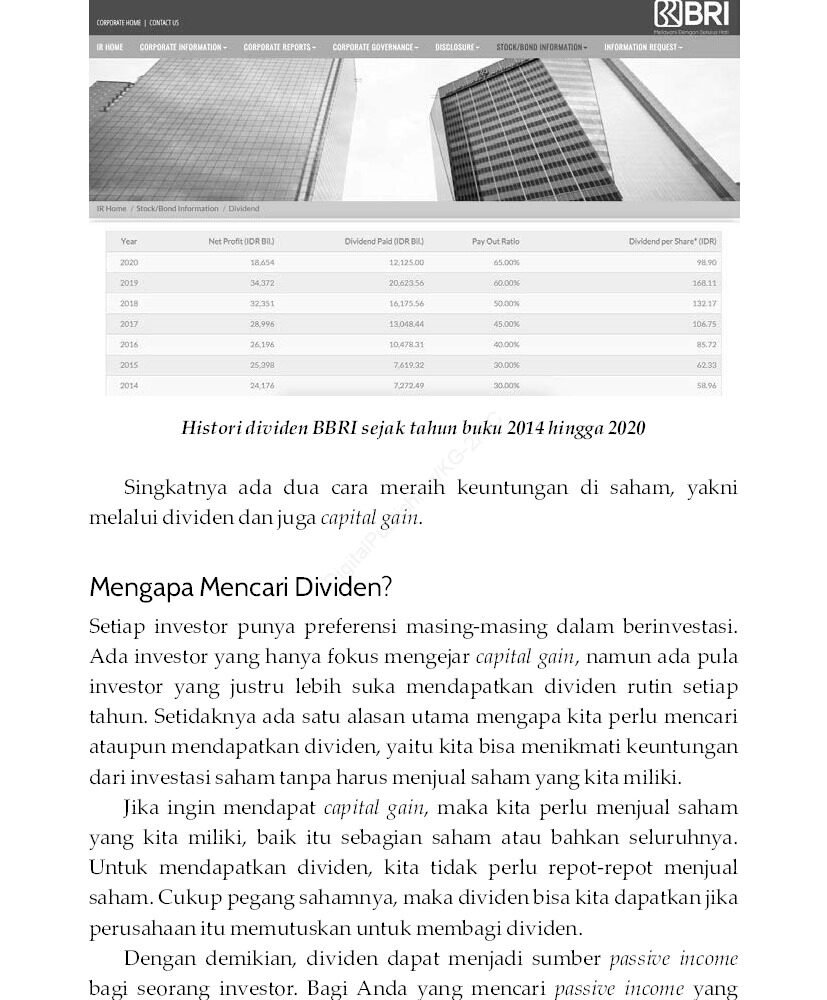 The Dividend investor