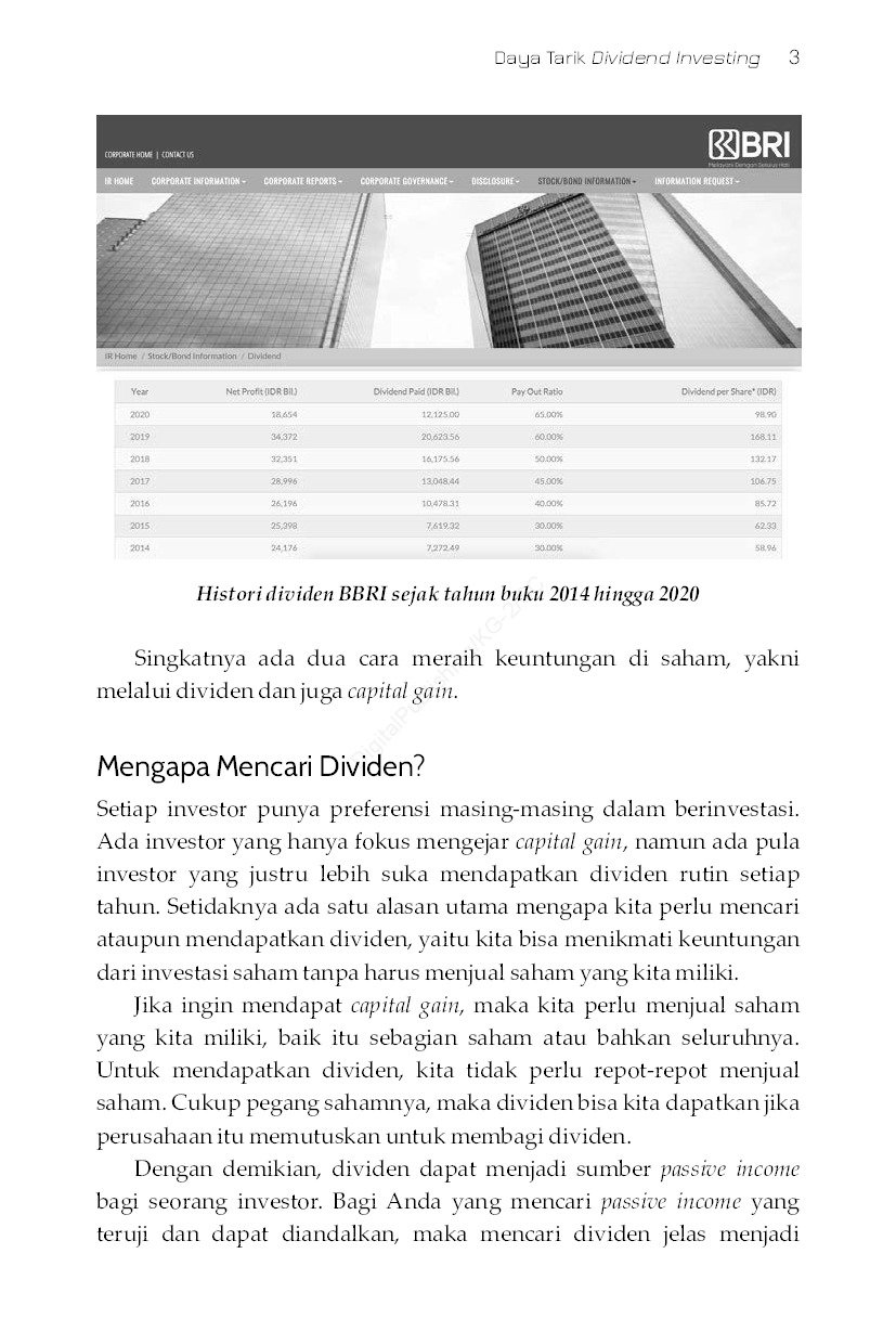 The Dividend investor