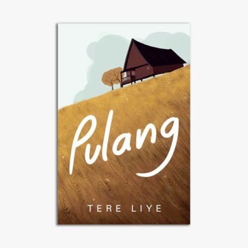 Novel Pulang