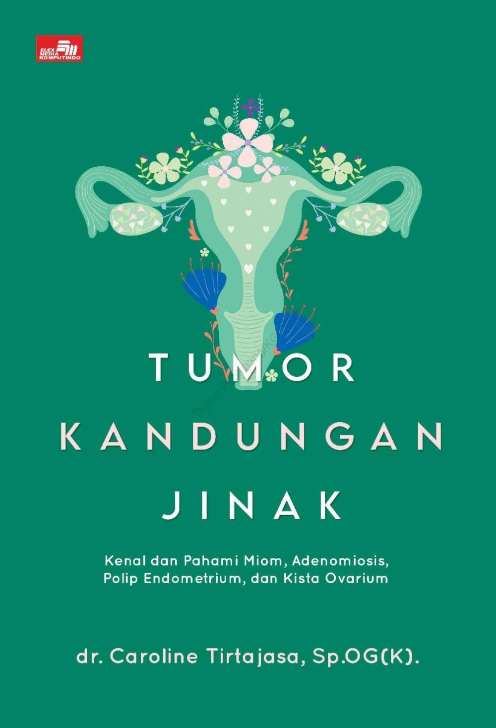 _Image_ Tumor Kandungan Jinak