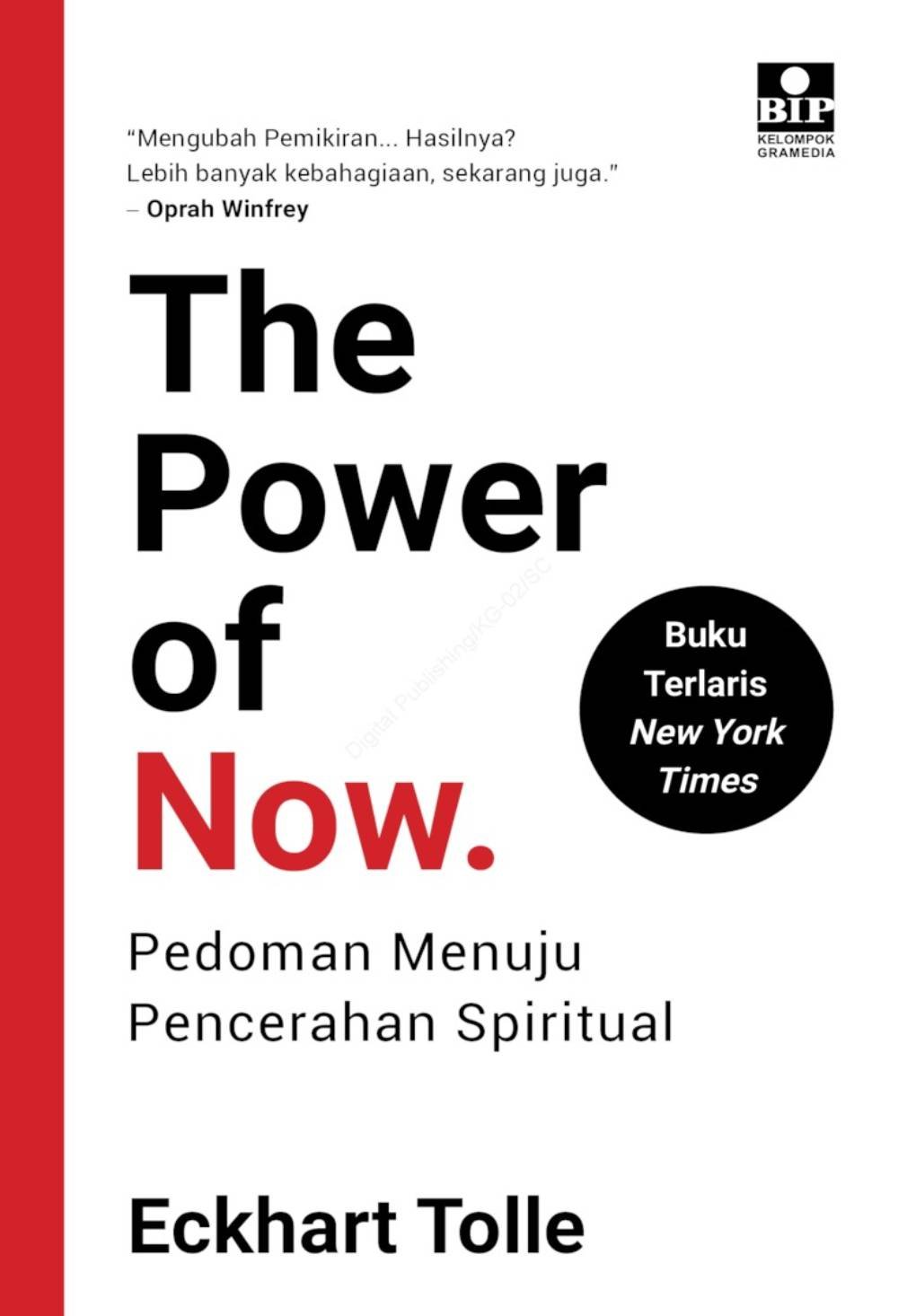 The Power Of Now
