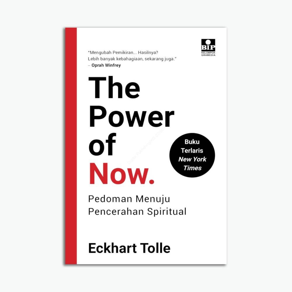 The Power Of Now