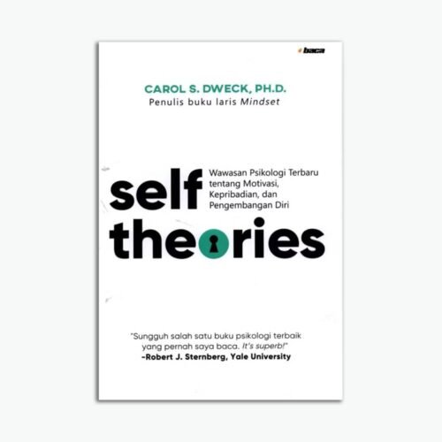 Self Theories