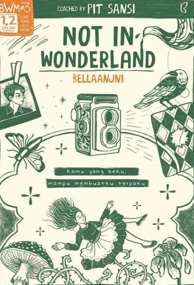 Novel Not In Wonderland