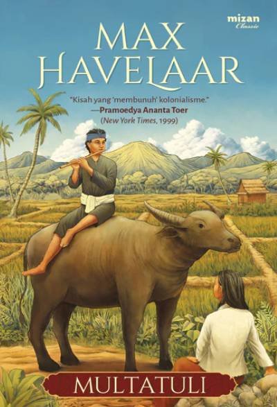 Novel Max Havelaar