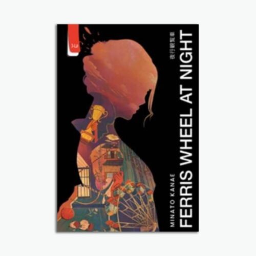 Novel Ferris Wheel At Night