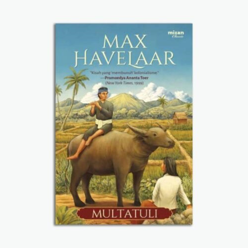Novel Max Havelaar