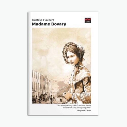 Novel Madame Bovary
