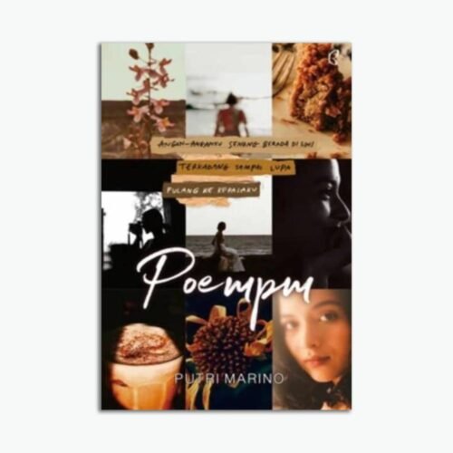 Novel Poem Pm
