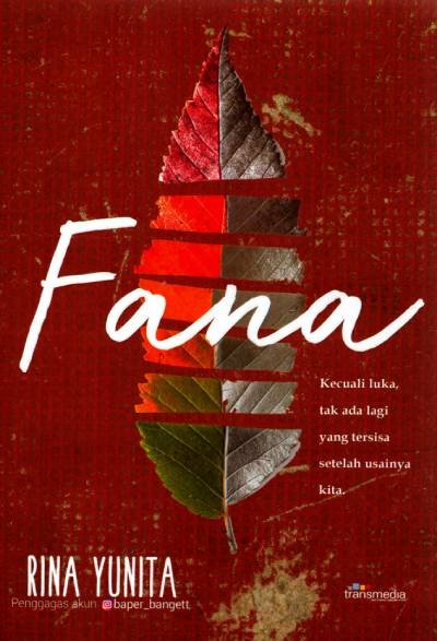 _Image_ Novel Fana (Kecuali luka, Tak Ada Lagi Yang Tersisa Setelah Usainya Kita)