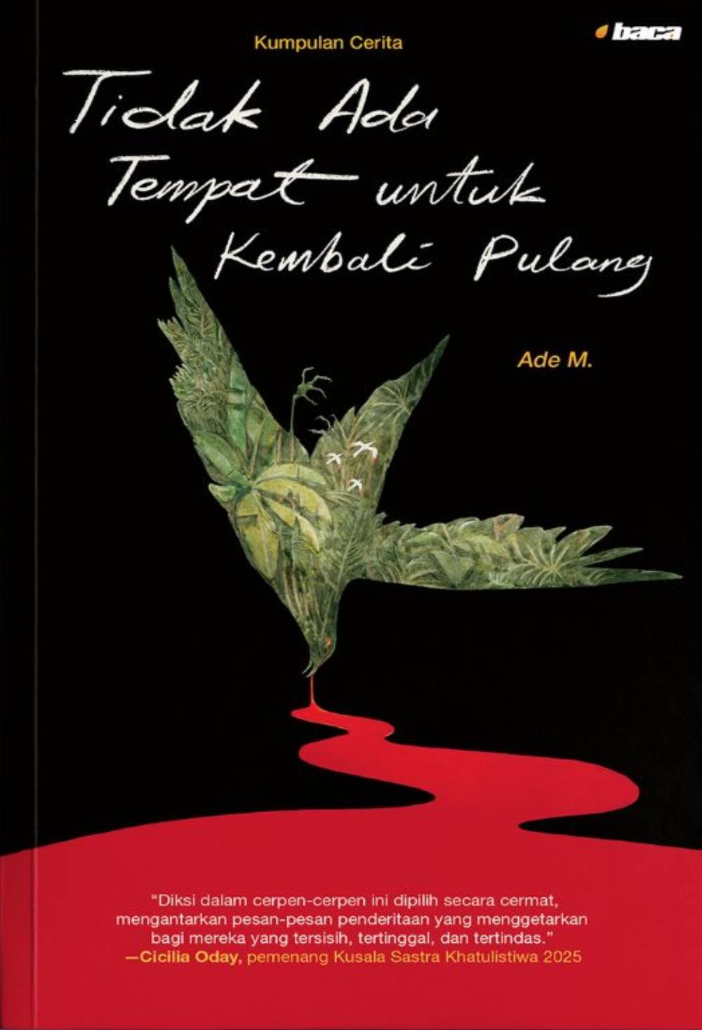 Tidak Ada Tempat untuk Kembali Pulang