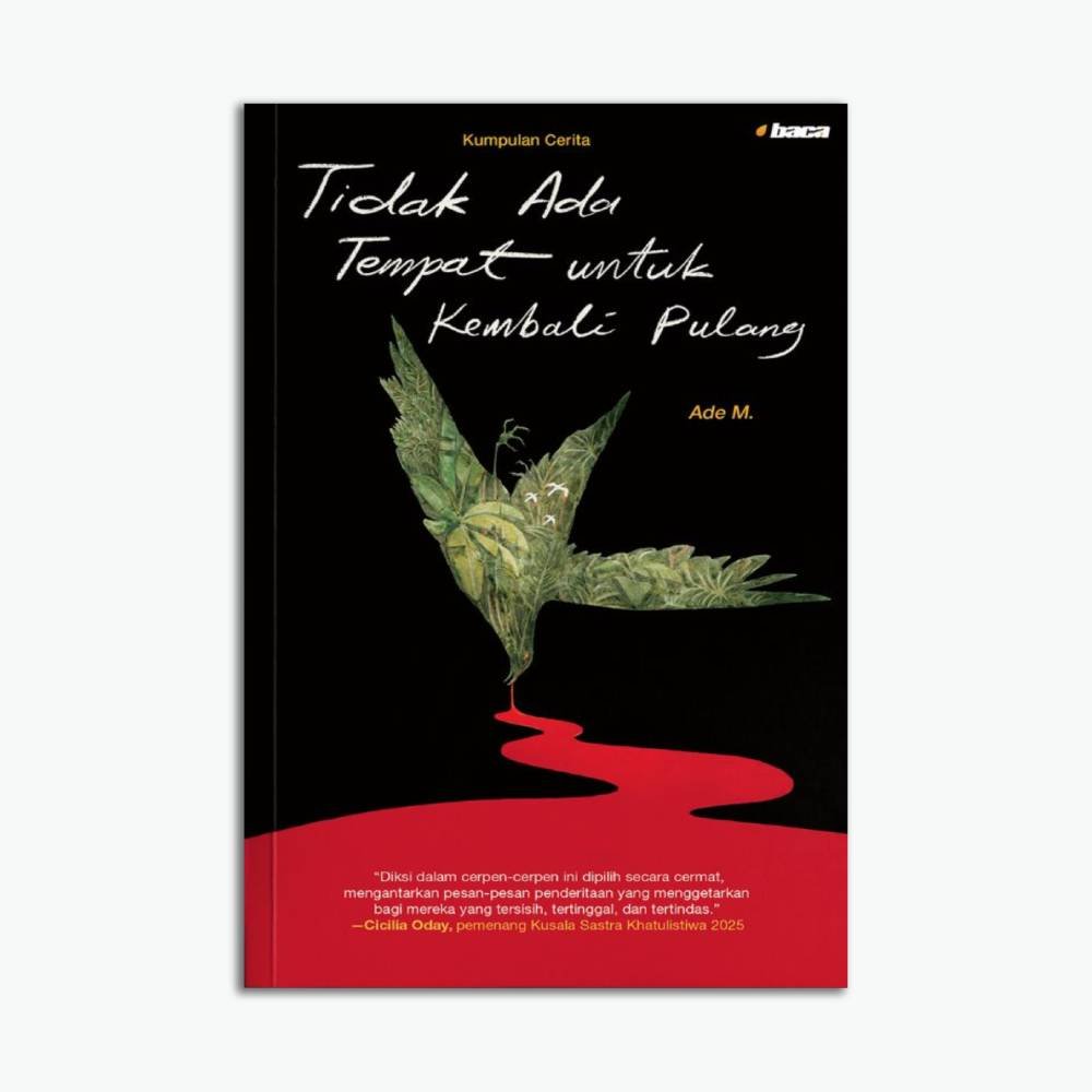 Tidak Ada Tempat untuk Kembali Pulang
