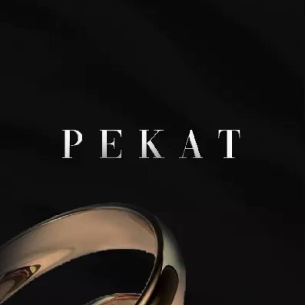 Novel Pekat
