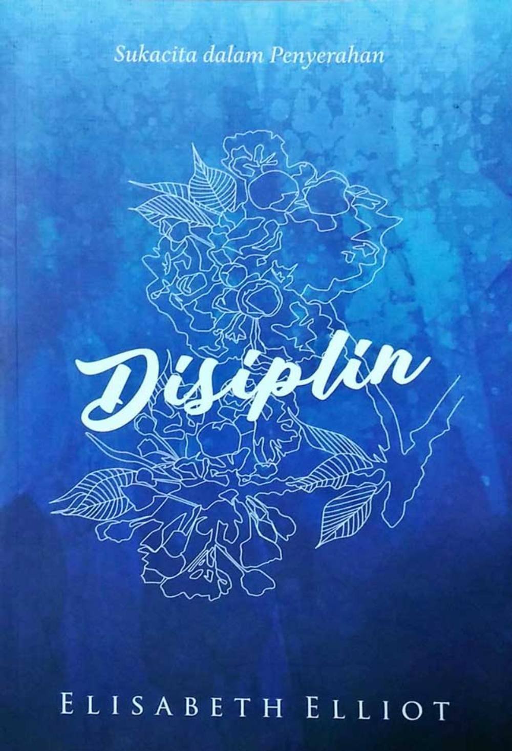 Disiplin