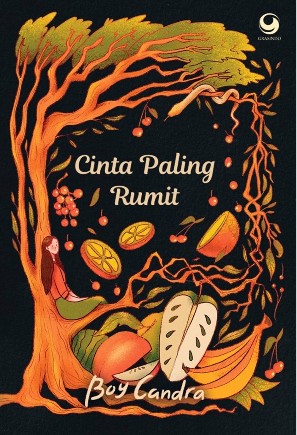Novel Cinta Paling Rumit