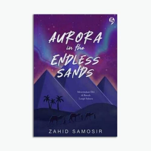 Novel Aurora In The Endless Sands