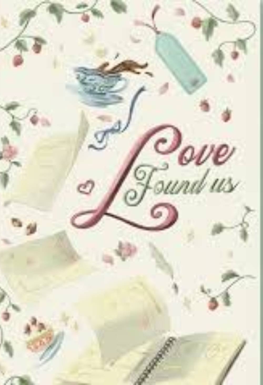 Novel Love Found US